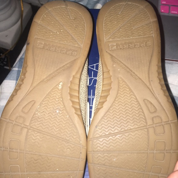 Sperry's angel fish (SEND OFFERS) - Picture 3 of 5